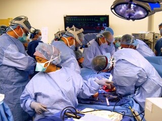 transplantácia rúk chirurg